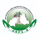UNPS-B
